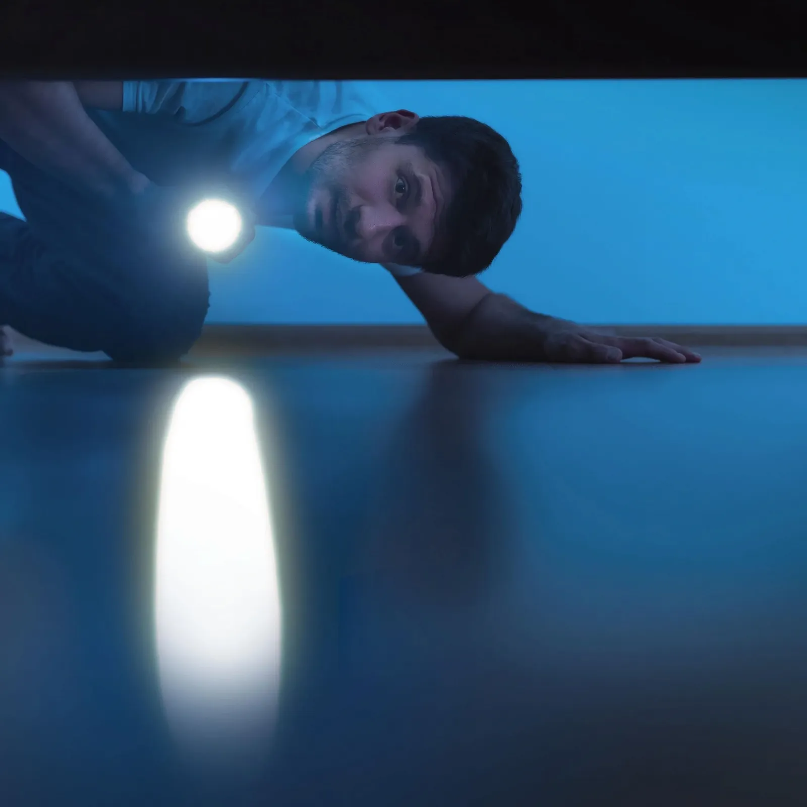 Фонарь светодиодный Ansmann Daily Use 70B серебряный, фото №5