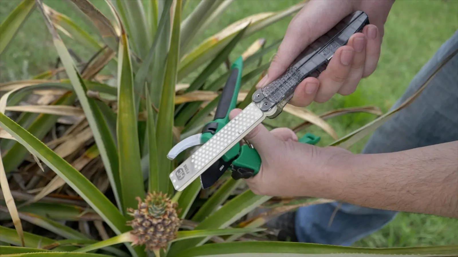 Точилка для ножей DMT Diafold FWMEF-H двухсторонняя Extra-Fine Hardcoat Surface Clear, фото №8