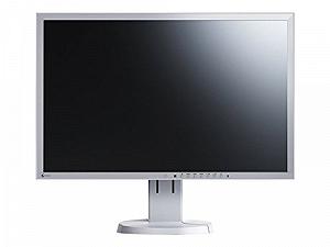 Монитор EIZO EV2336WFS-GY 23 дюйма Full HD LED Серый - Фото 1