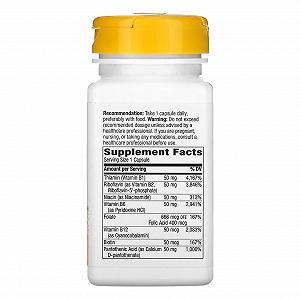 B-50 Complex 100 caps synthetic.ua - Фото 1