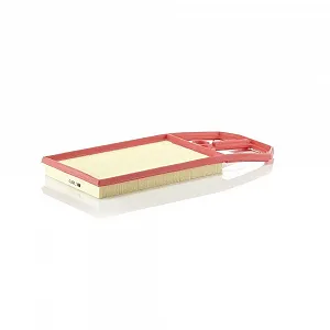 Воздушный фильтр MANN-FILTER C 4287/2 для VAG - Фото 1