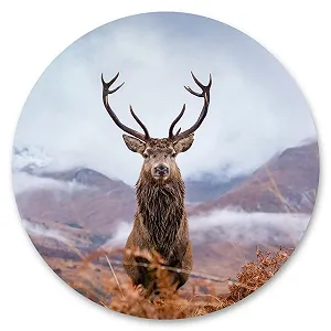 3D Наклейка на стіну Muralo Round Deer Animal Mountains 100 x 100 см - Фото 1