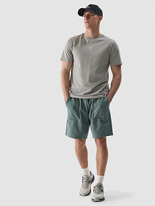 Шорты 4F SHORTS CAS M330 4FWSS24TSHOM330-43S Фисташковый S - Фото 1