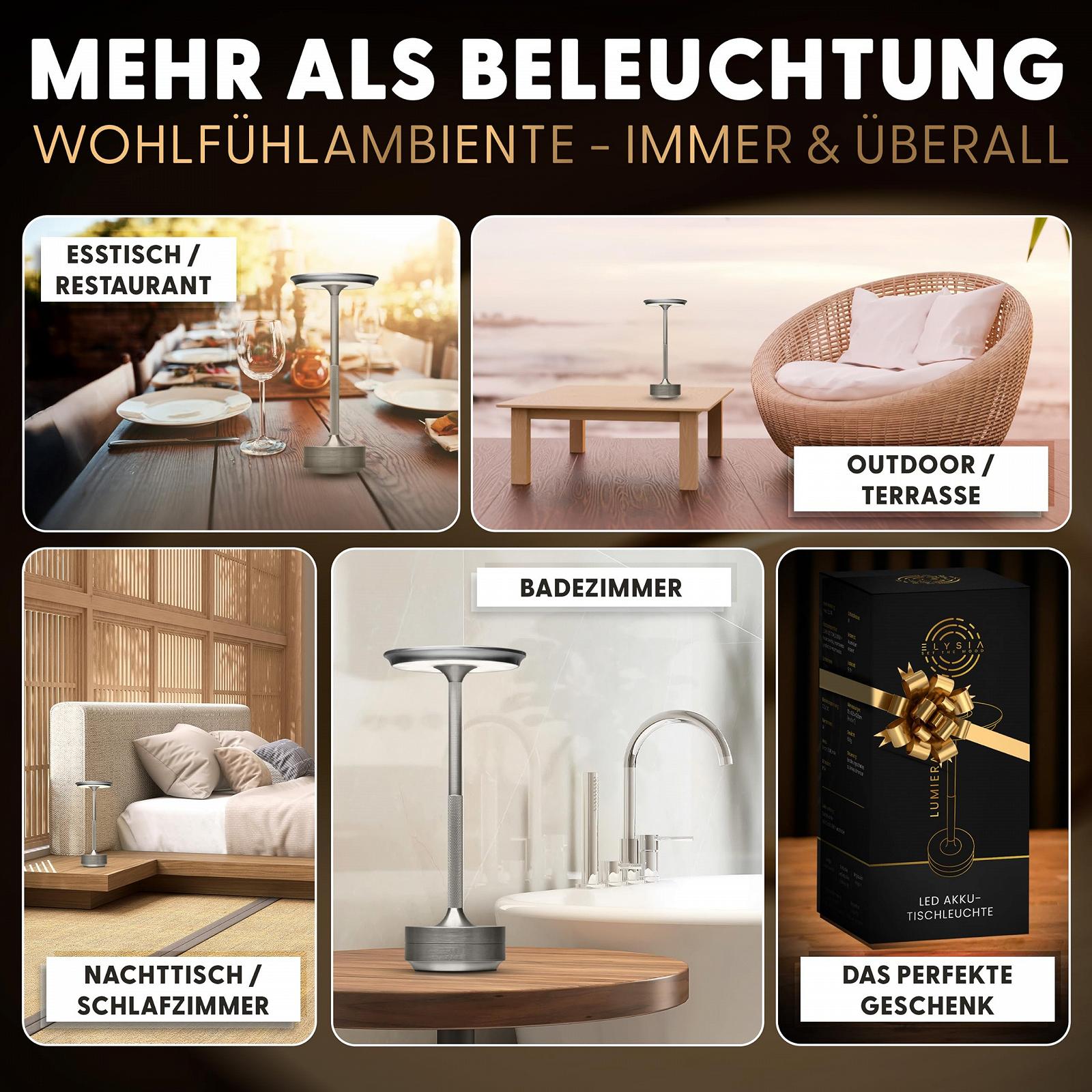 Настільна лампа ELYSIA LED Battery Dimmable USB-C IP54 Срібляста, фото №6