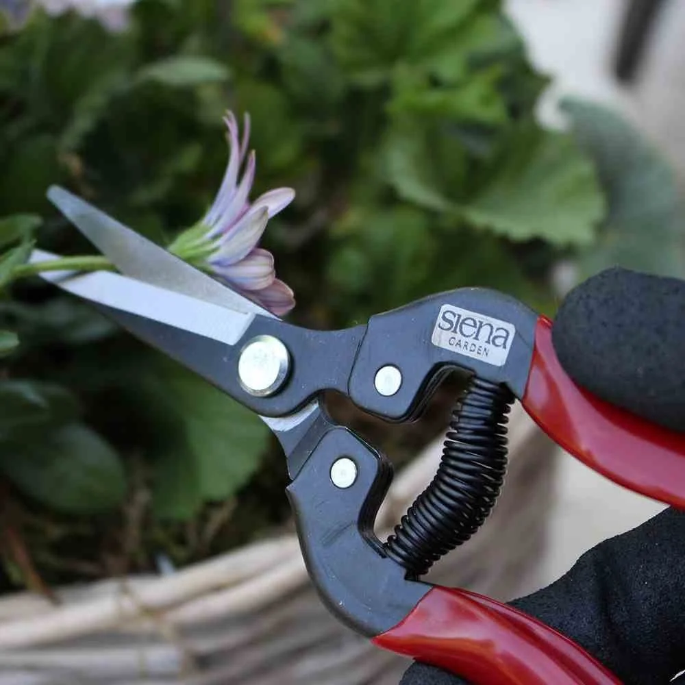 Ножиці Premium 19 см, фото №4