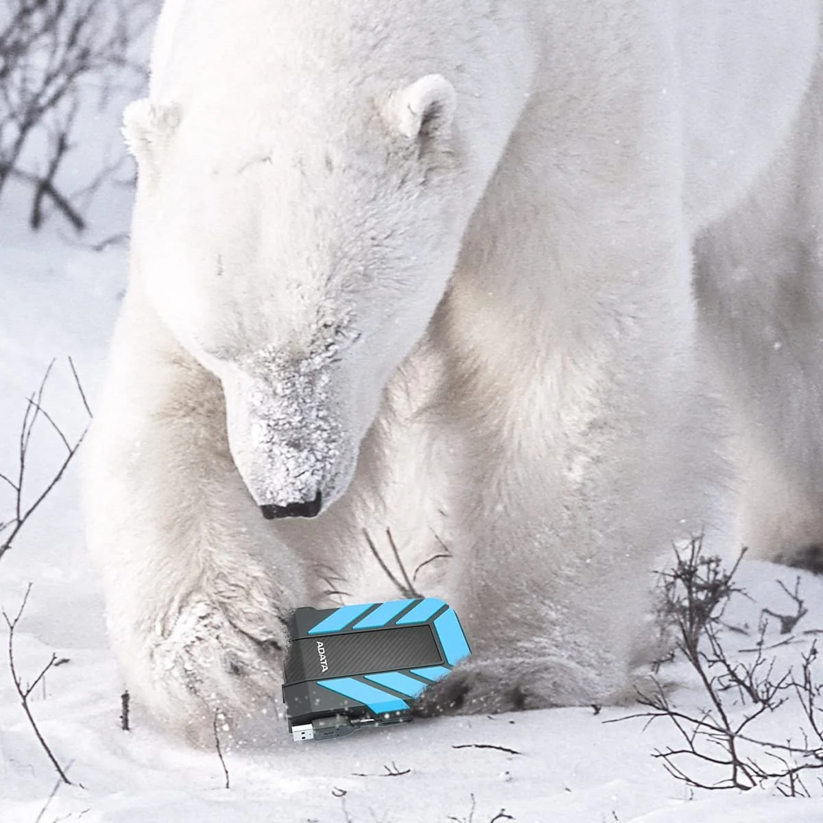 Внешний жесткий диск ADATA Dashdrive Durable HD710 Pro 1TB USB 3.1 Blue, фото №3