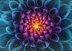 Пазл Ulmer Puzzleschmiede Classic Mysterious Blossom 1000 элементов цена на synthetic.ua - Фото 1 Пазл Ulmer Puzzleschmiede Classic Mysterious Blossom 1000 элементов synthetic.ua - Фото 1