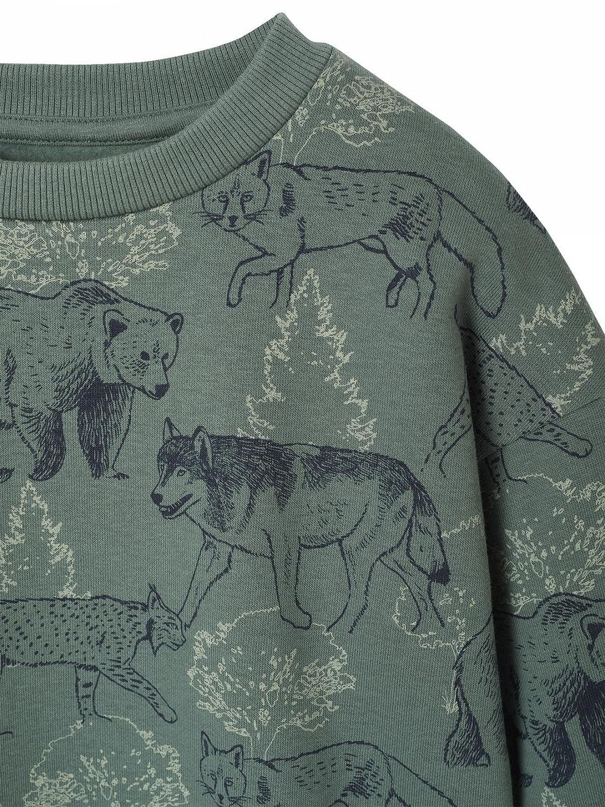 Толстовка Vertbaudet з принтом для хлопчиків, перероблений поліестер, фото №3