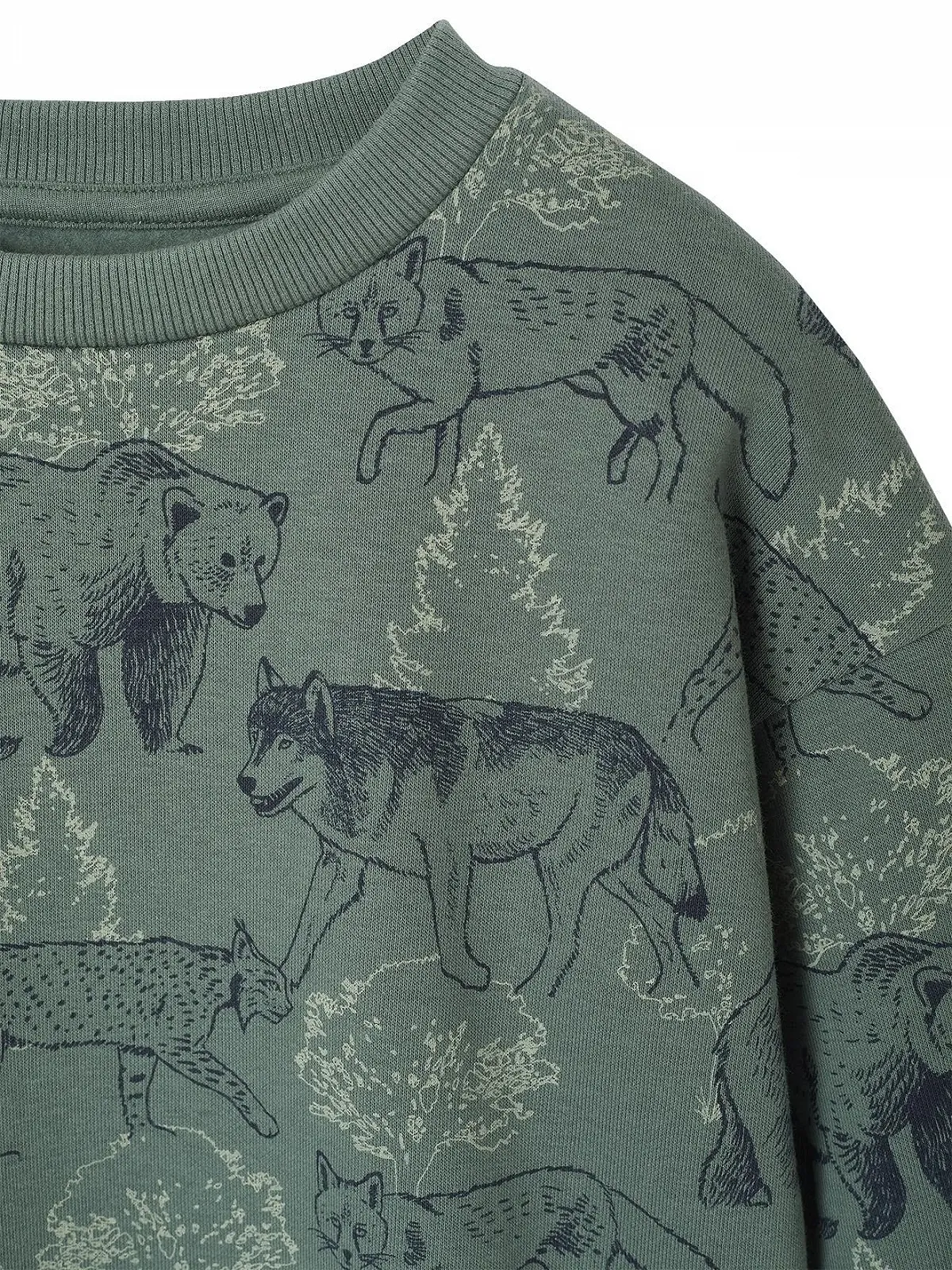 Толстовка Vertbaudet с принтом для мальчиков, переработанный полиэстер, фото №3