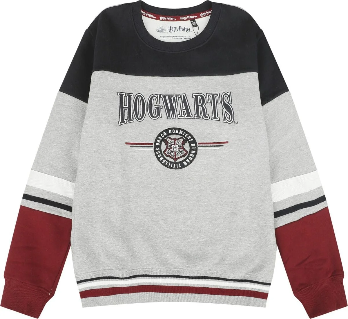 Толстовка Harry Potter Hogwarts England Made Unisex Multicoloured, фото №1