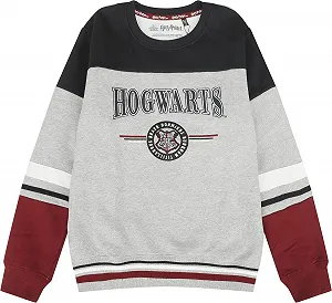 Толстовка Harry Potter Hogwarts England Made Unisex Multicoloured - Фото 1