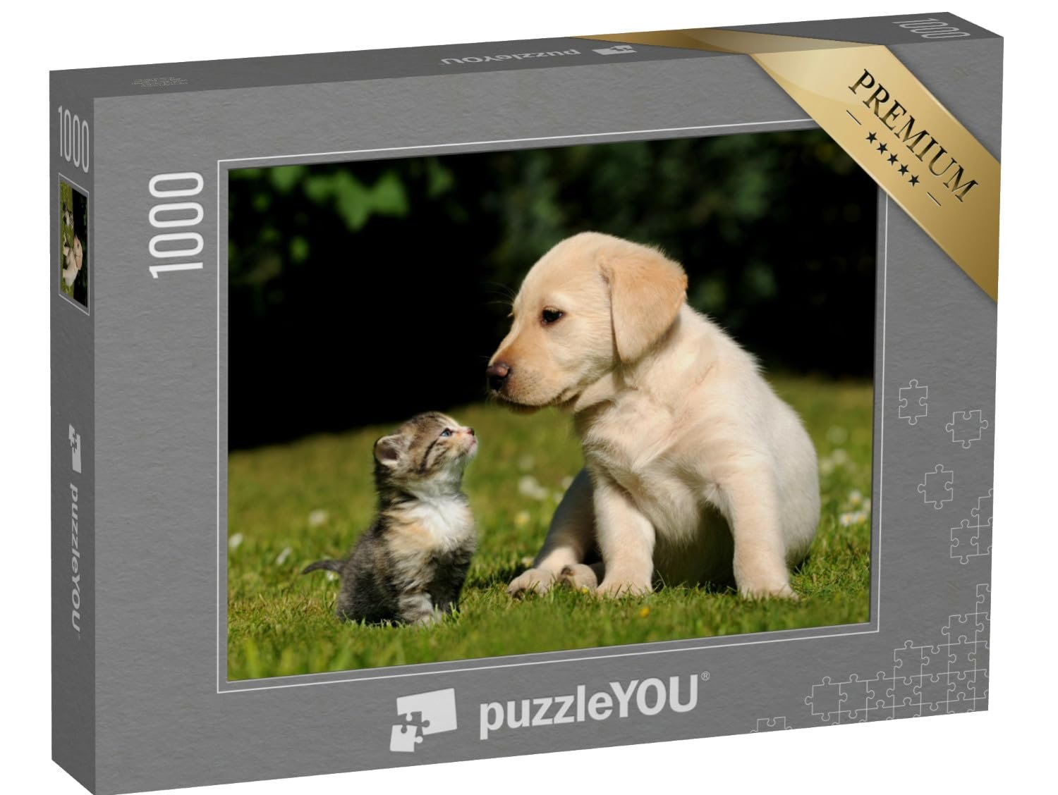 Пазл puzzleYOU Cat Jigsaw Puzzles "Кот и собака" 1000 элементов, фото №1