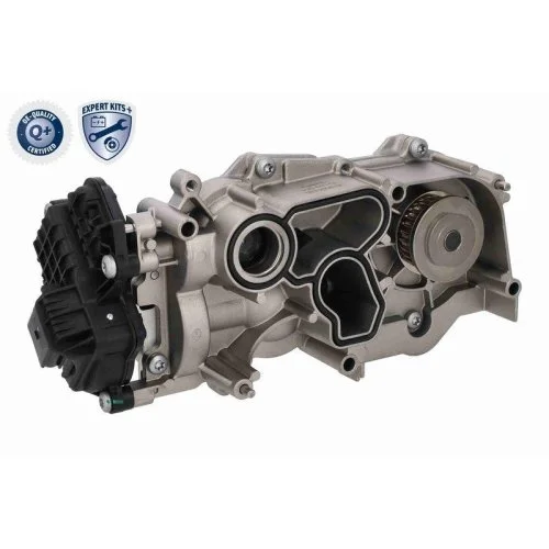 Комплект ГРМ с водяным насосом VAICO EXPERT KITS + V10-50114 для AUDI SEAT SKODA, фото №4