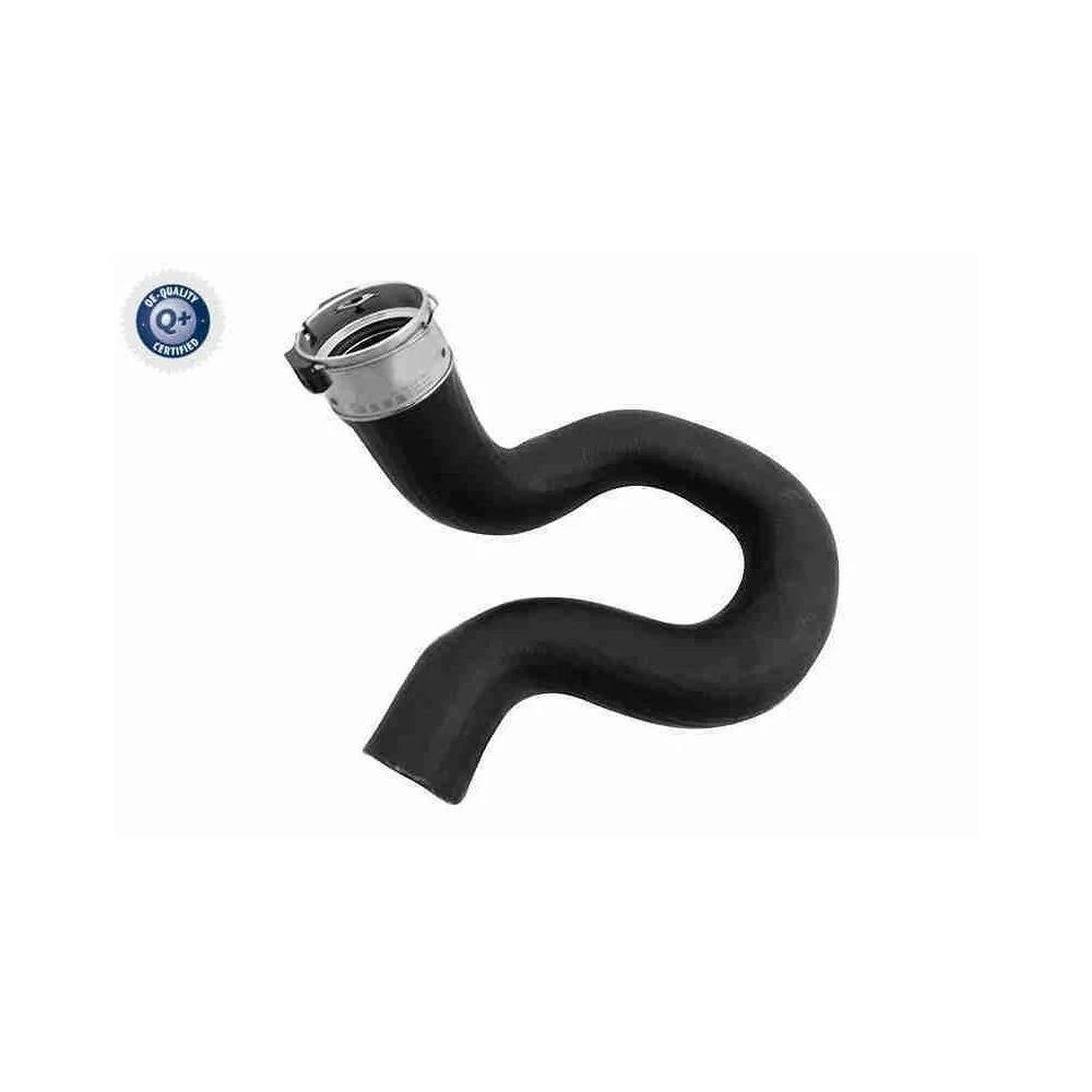 Шланг інтеркулера VAICO V24-1289 Q+ FIAT лівий, фото №1