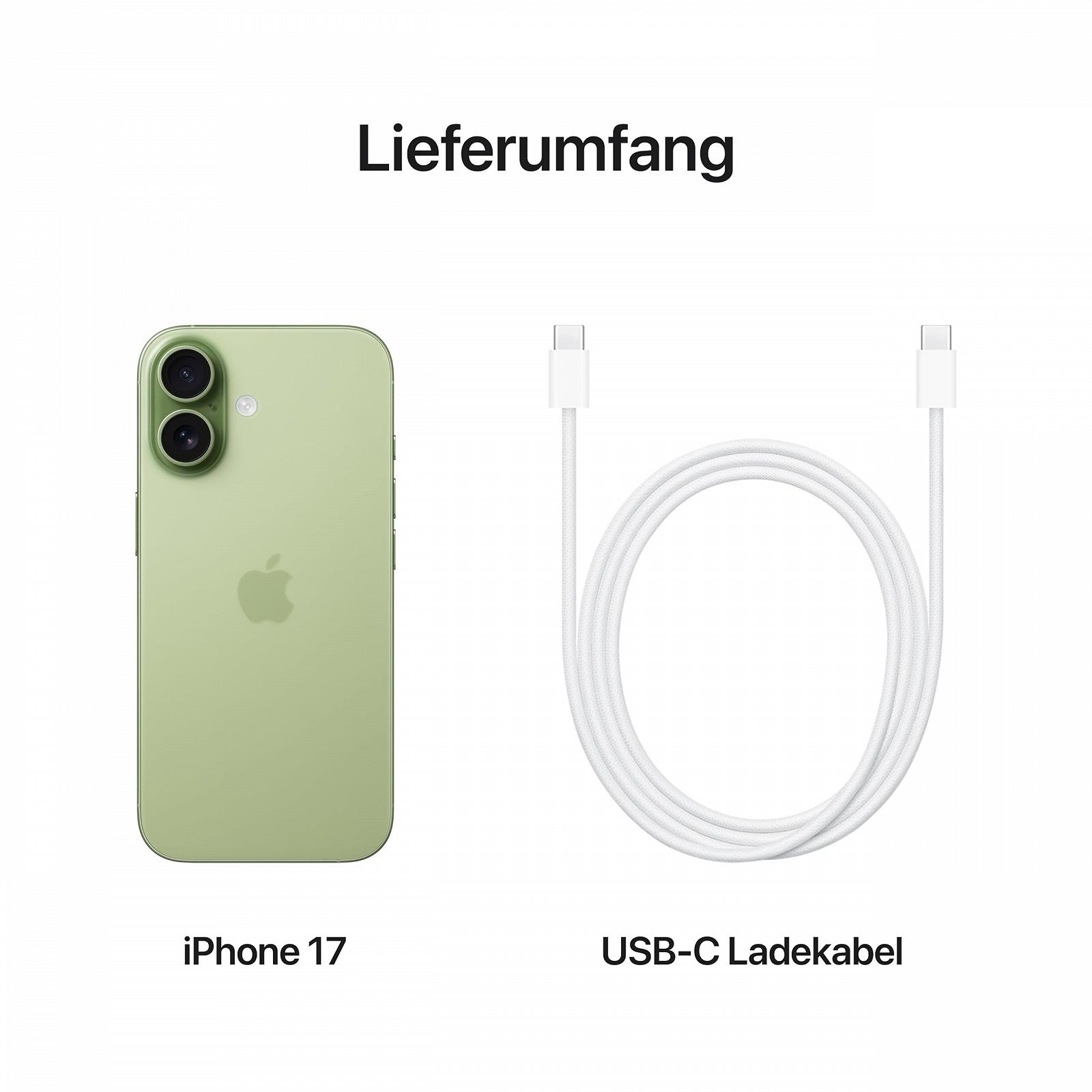 Смартфон Apple iPhone 17 256GB 6.3" ProMotion A19 Chip Шалфейный, фото №6 Смартфон Apple iPhone 17 256GB 6.3" ProMotion A19 Chip Шалфейный, фото №6