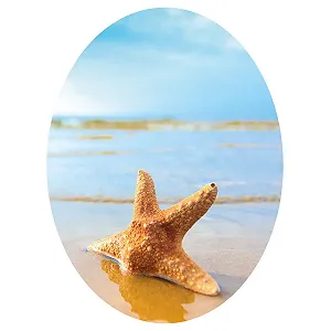 Наклейка на кришку унітазу Starfish on The Beach 30 x 40 см - Фото 1