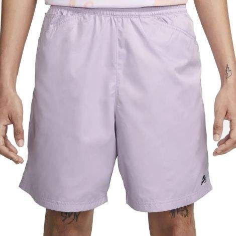 Шорты Nike SB NVLTY Chino L, фото №1