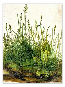 Постер Albrecht Dürer The Large Lawn Piece 50 x 70 см Зеленый - Фото 1