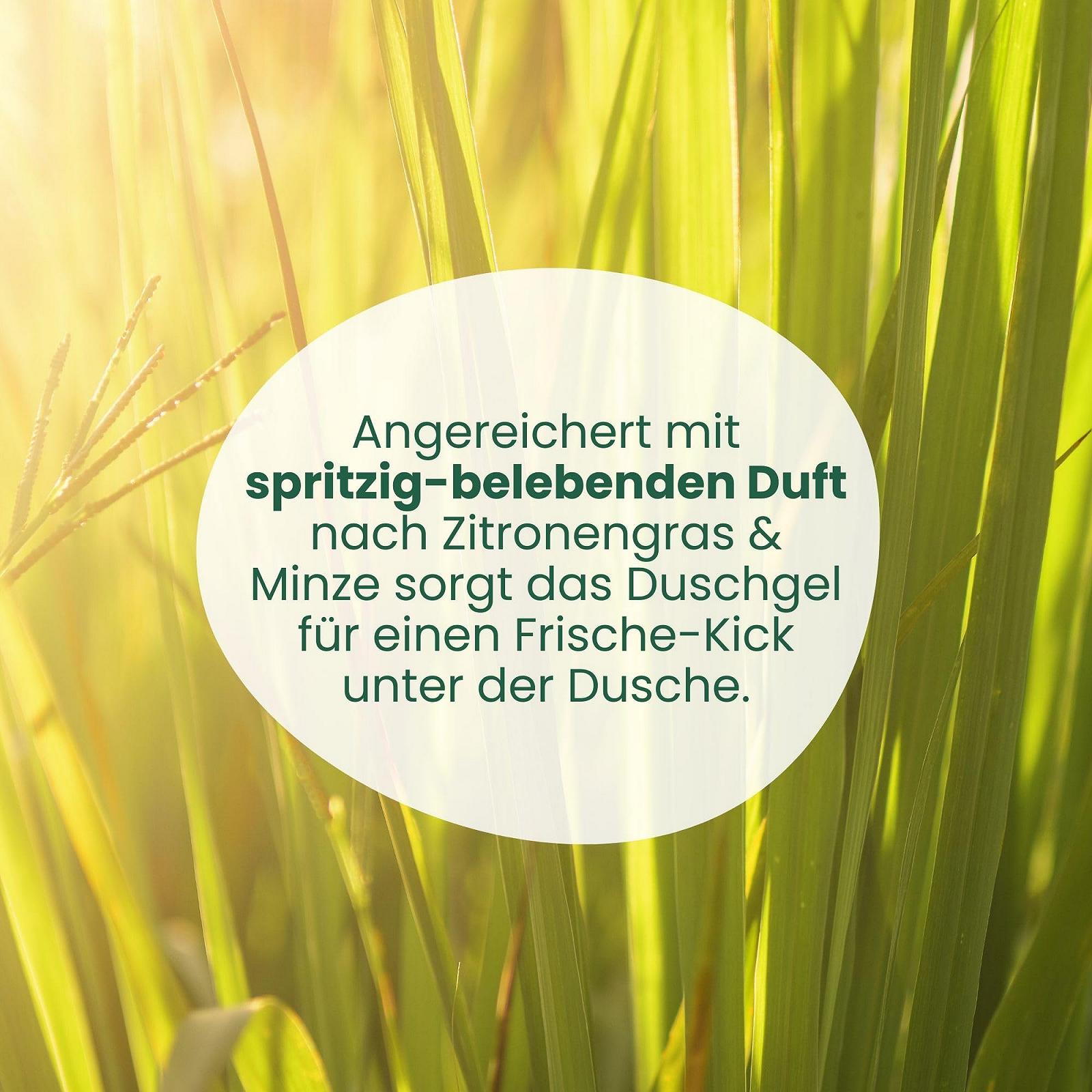 Гель для душа Jean & Len Lemongrass & Mint ревитализирующий 250 мл, фото №5