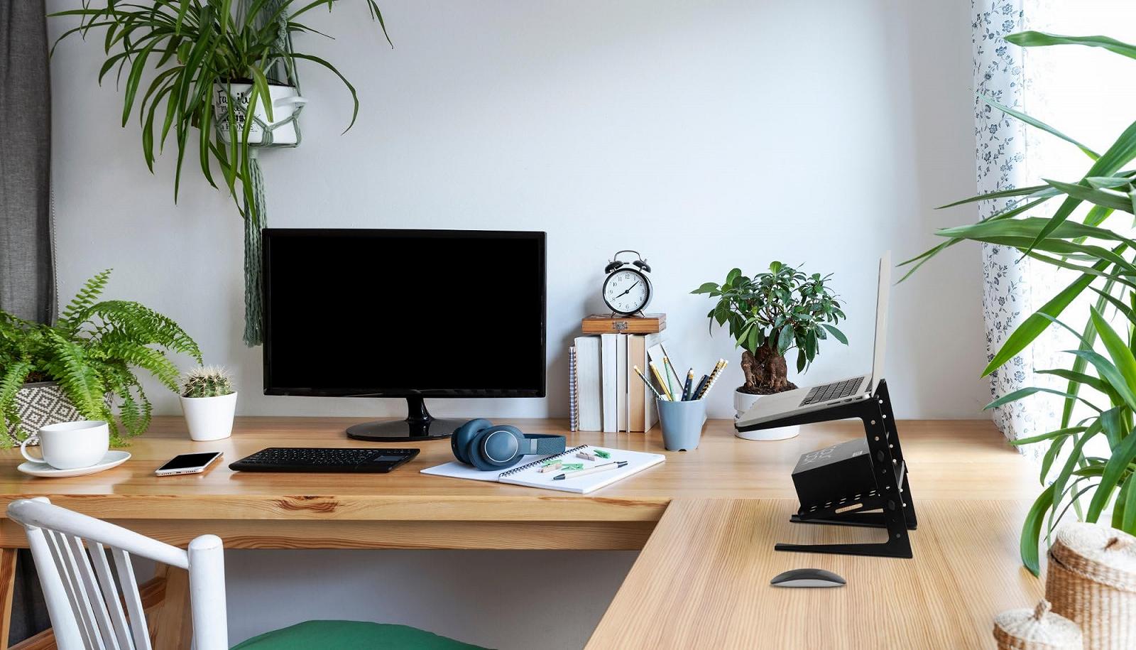 Подставка для ноутбука Pronomic LS-200 Deluxe, фото №2