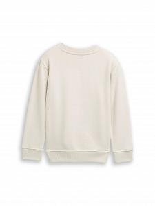 Толстовка TOM TAILOR Детская Базовая Толстовка с Принтом synthetic.ua - Фото 1