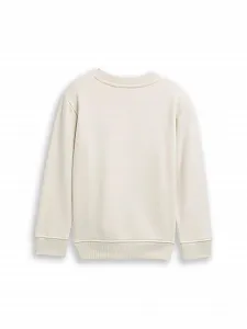 Толстовка TOM TAILOR Дитяча Базова Толстовка з Принтом synthetic.ua - Фото 1