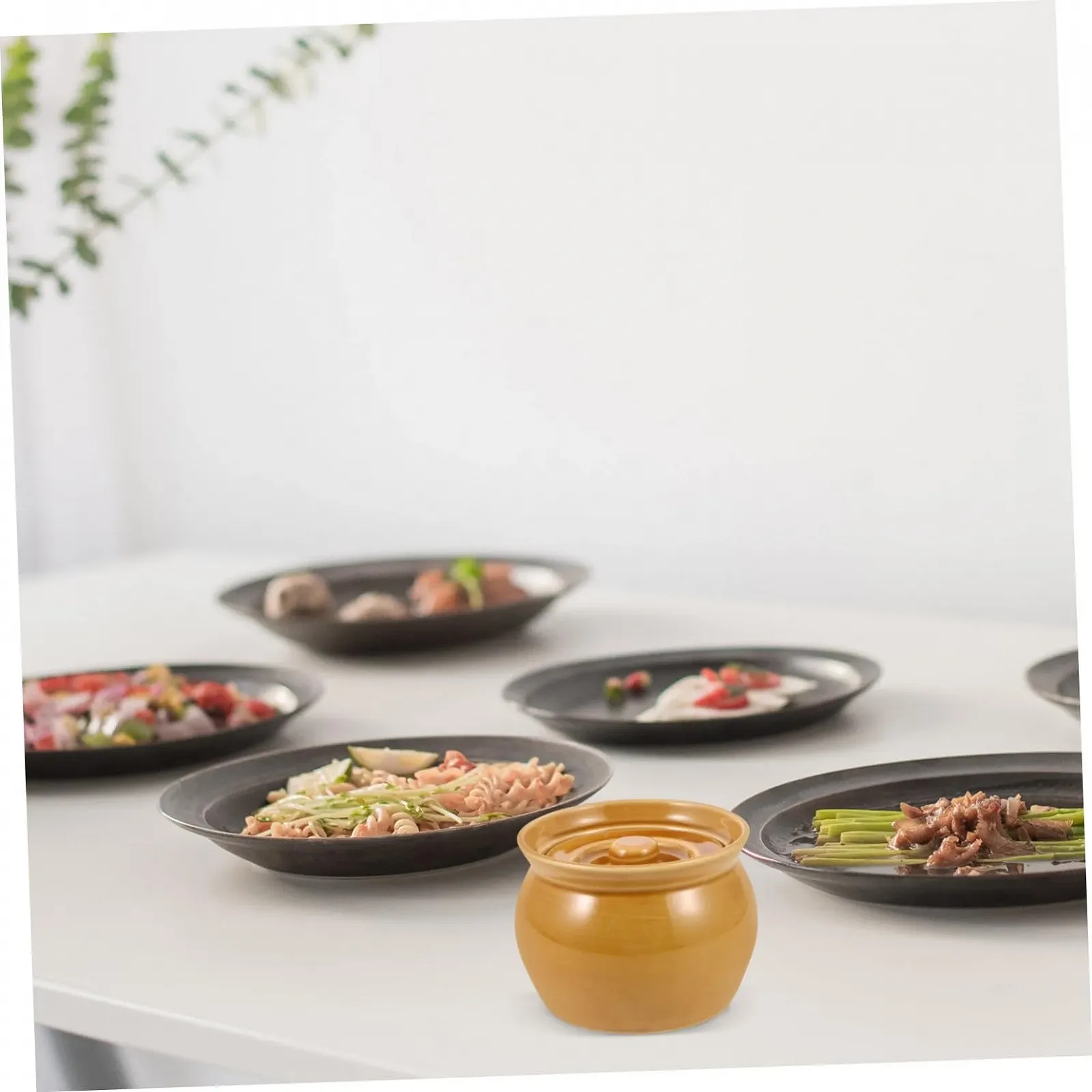 Керамическая кастрюля TOPBATHY с крышкой для тушения и запекания, фото №4 Керамическая кастрюля TOPBATHY с крышкой для тушения и запекания, фото №4