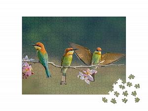 Пазл puzzleYOU Birds Puzzle Collection Три каштановоголовые щурки на ветке с розовыми цветами 500 деталей цена на synthetic.ua - Фото 1 Пазл puzzleYOU Birds Puzzle Collection Три каштановоголовые щурки на ветке с розовыми цветами 500 деталей synthetic.ua - Фото 1