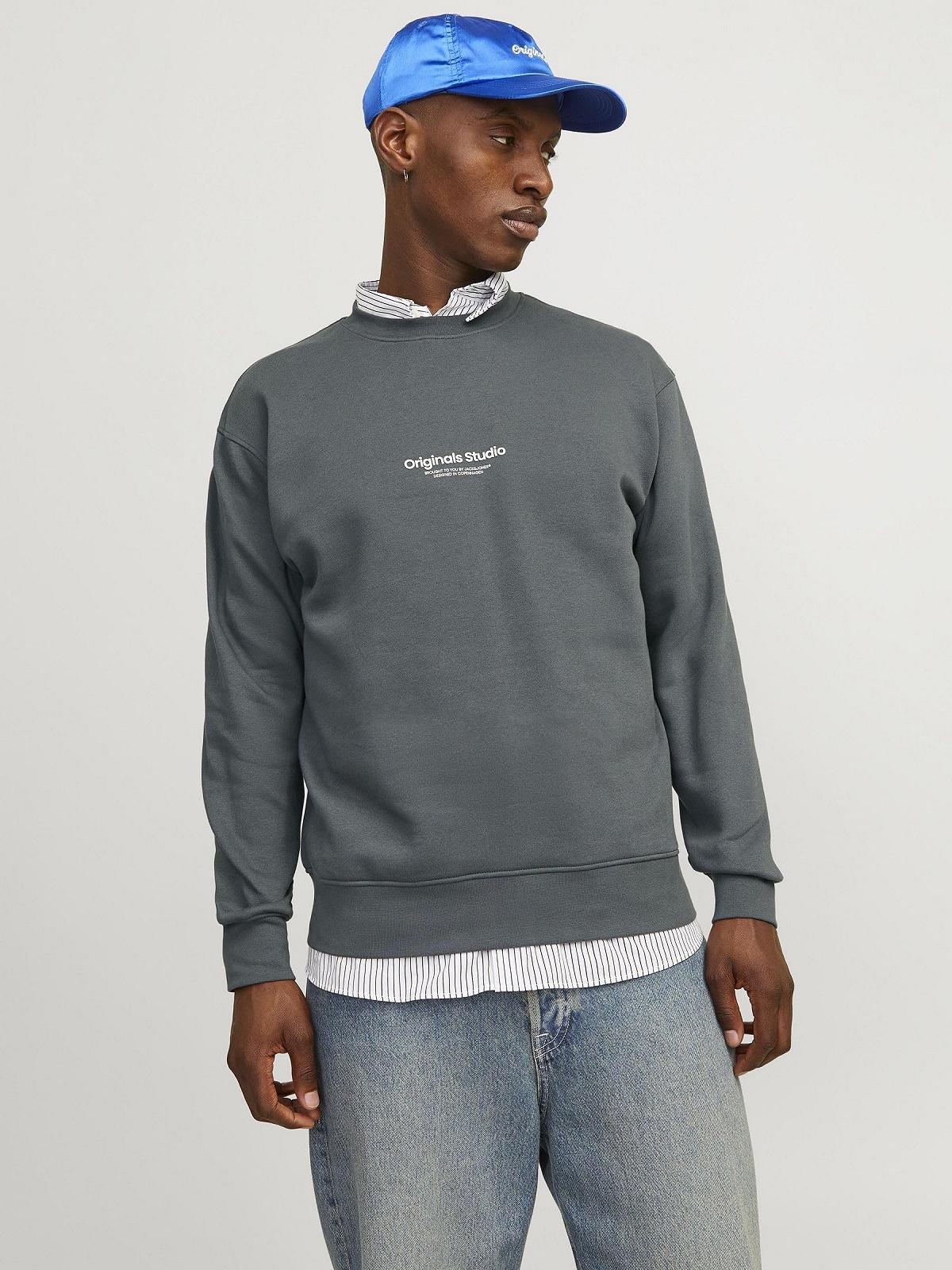 Світшот JACK & JONES Jorvesterbro Crew Neck Noos Чоловічий, фото №2