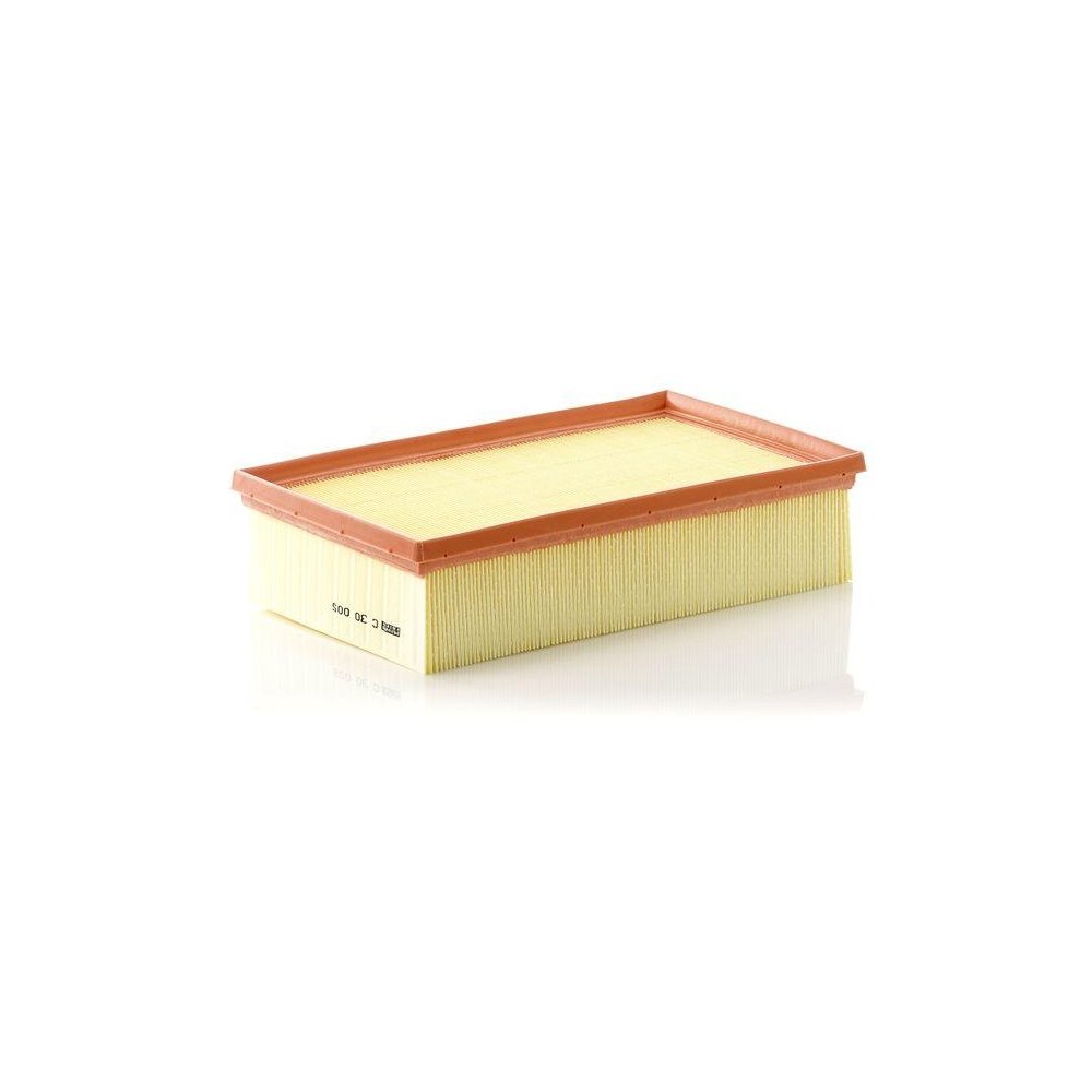 Повітряний фільтр MANN-FILTER C 30 005 для FORD VAG, фото №1