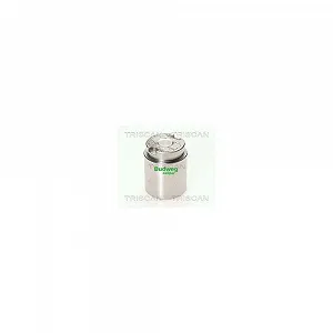 Поршень тормозного суппорта TRISCAN 8170 233426