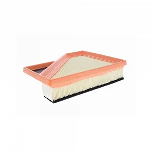 Фильтр воздушный VAICO V20-3413 для BMW - Фото 1