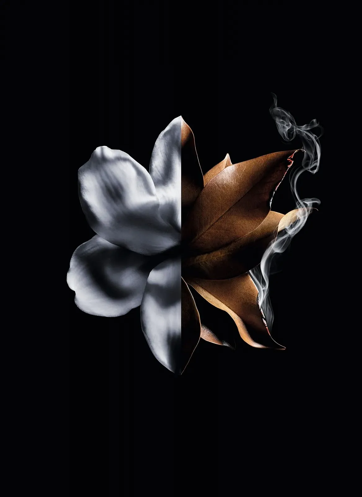 Парфумована вода Givenchy L'Interdit Absolu Intense 80 мл, фото №3 Парфумована вода Givenchy L'Interdit Absolu Intense 80 мл, фото №3