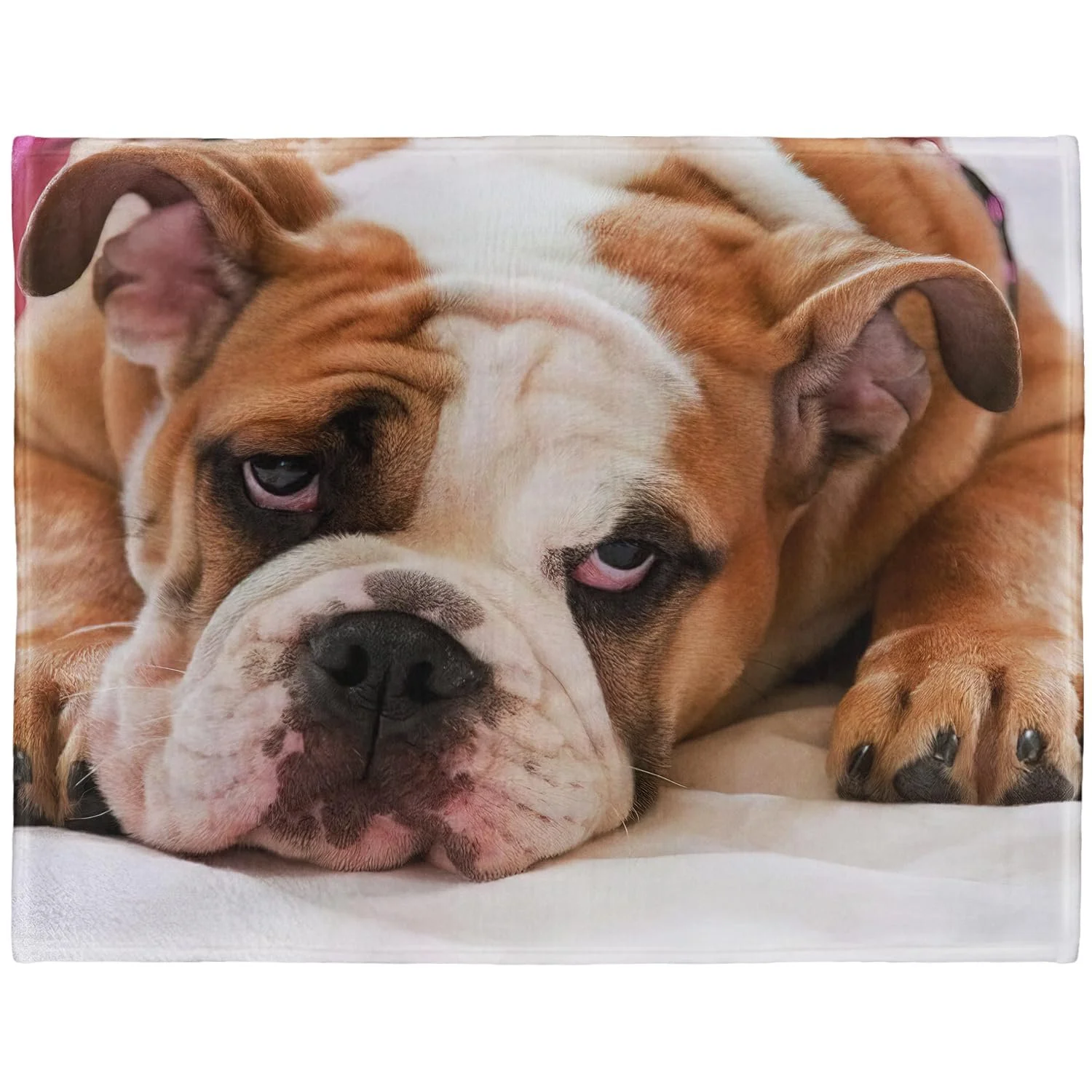 Одеяло YISUMEI 150 x 200 см Мягкое фланелевое флисовое одеяло Английский бульдог, фото №1 Одеяло YISUMEI 150 x 200 см Мягкое фланелевое флисовое одеяло Английский бульдог, фото №1