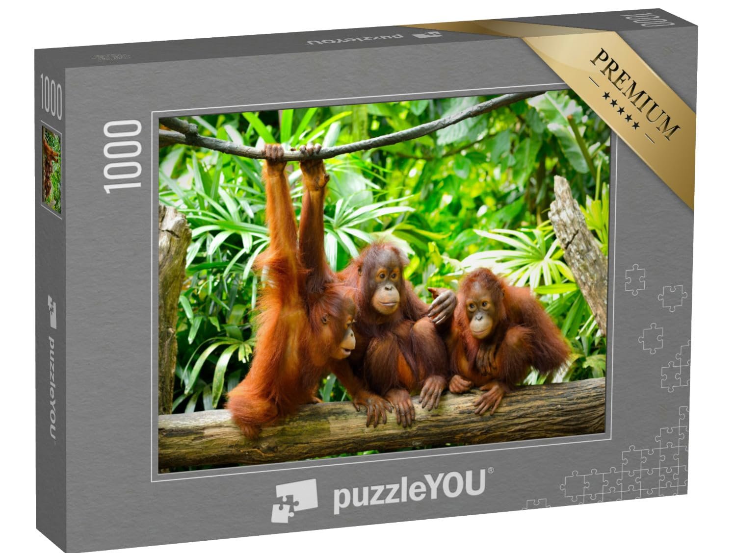 Пазл puzzleYOU Animals Puzzle Collection Крупный план орангутанов 1000 элементов, фото №1