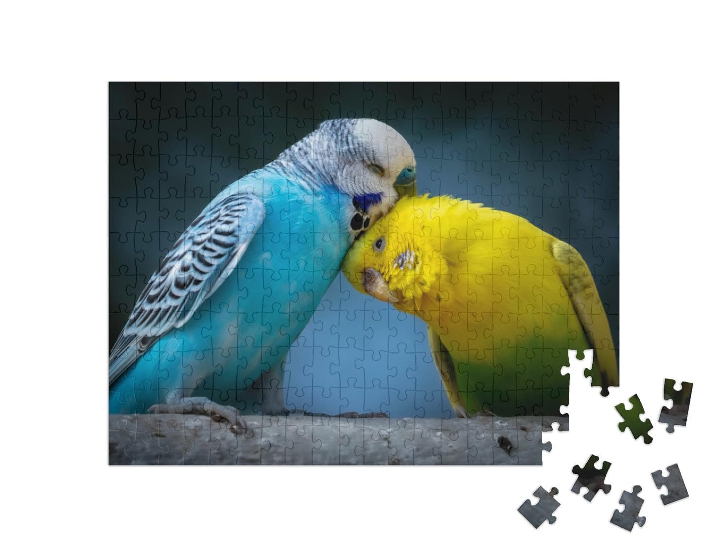 Пазл puzzleYOU Birds and Budgies Puzzle Collection Portrait of Two Cute Cuddly Budgies on an AST 200 элементов, фото №2