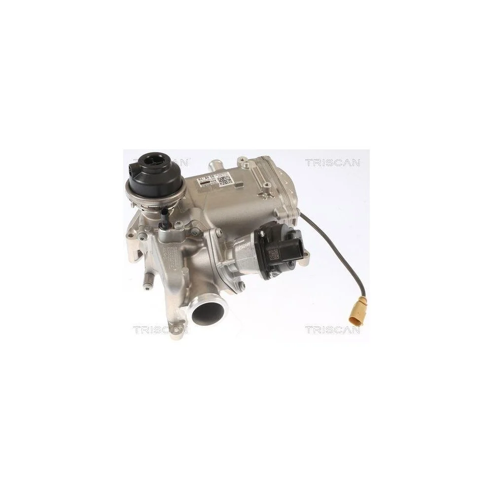 Клапан EGR TRISCAN 8813 29013 для AUDI, фото №1