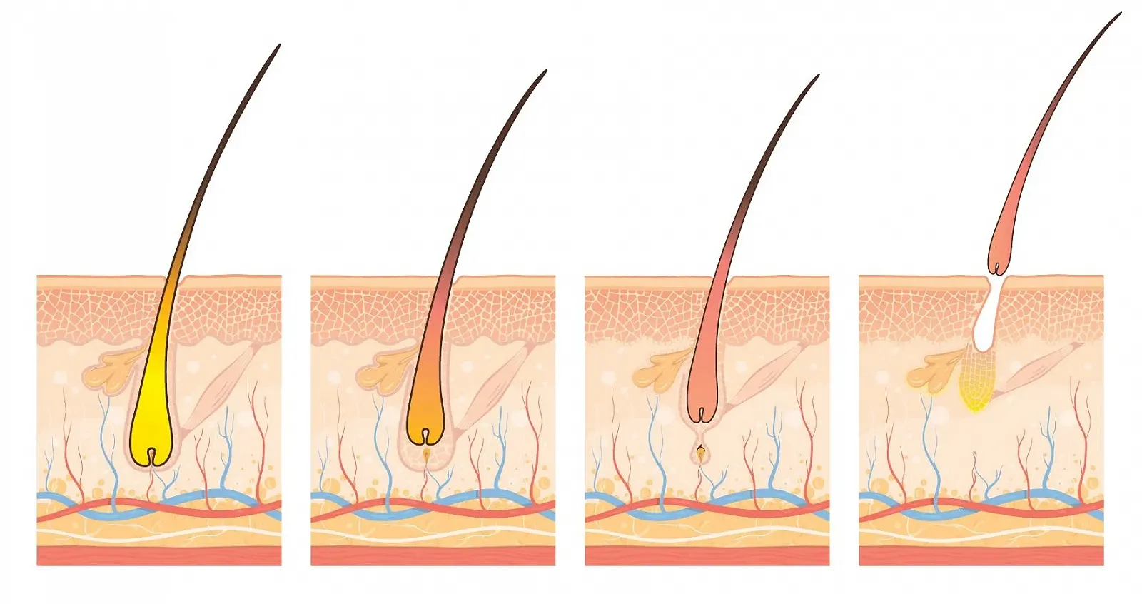 Ампули Annurkap Проти випадіння волосся Зміцнюючі Energy Zante, 10 ампул, фото №3