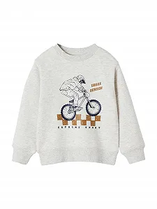 Толстовка Vertbaudet с принтом спереди, из переработанного полиэстера Basic - Фото 1