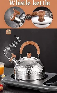 Чайник зі свистком з нержавіючої сталі Плита synthetic.ua - Фото 1
