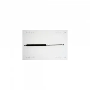 Газова пружина багажника TRISCAN 8710 38225 CITROËN, задня ліва - Фото 1