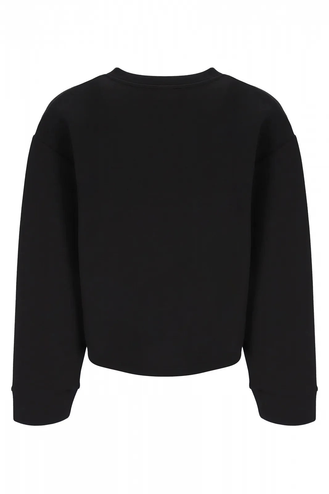 Женская Толстовка Russell Athletic Judi-Box Line - Crew Neck Sweat (1 шт. в упаковке), фото №2 Женская Толстовка Russell Athletic Judi-Box Line - Crew Neck Sweat (1 шт. в упаковке), фото №2