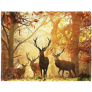 Одеяло YISUMEI Фланель Мягкое Флисовое одеяло для кровати 150 x 200 см Олень в осеннем лесу - Фото 1