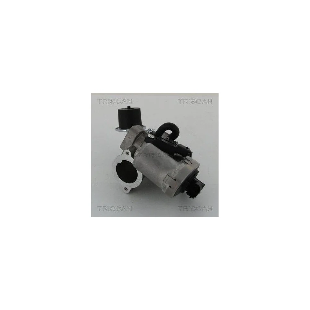 Клапан EGR TRISCAN 8813 16202 FORD JAGUAR, фото №1