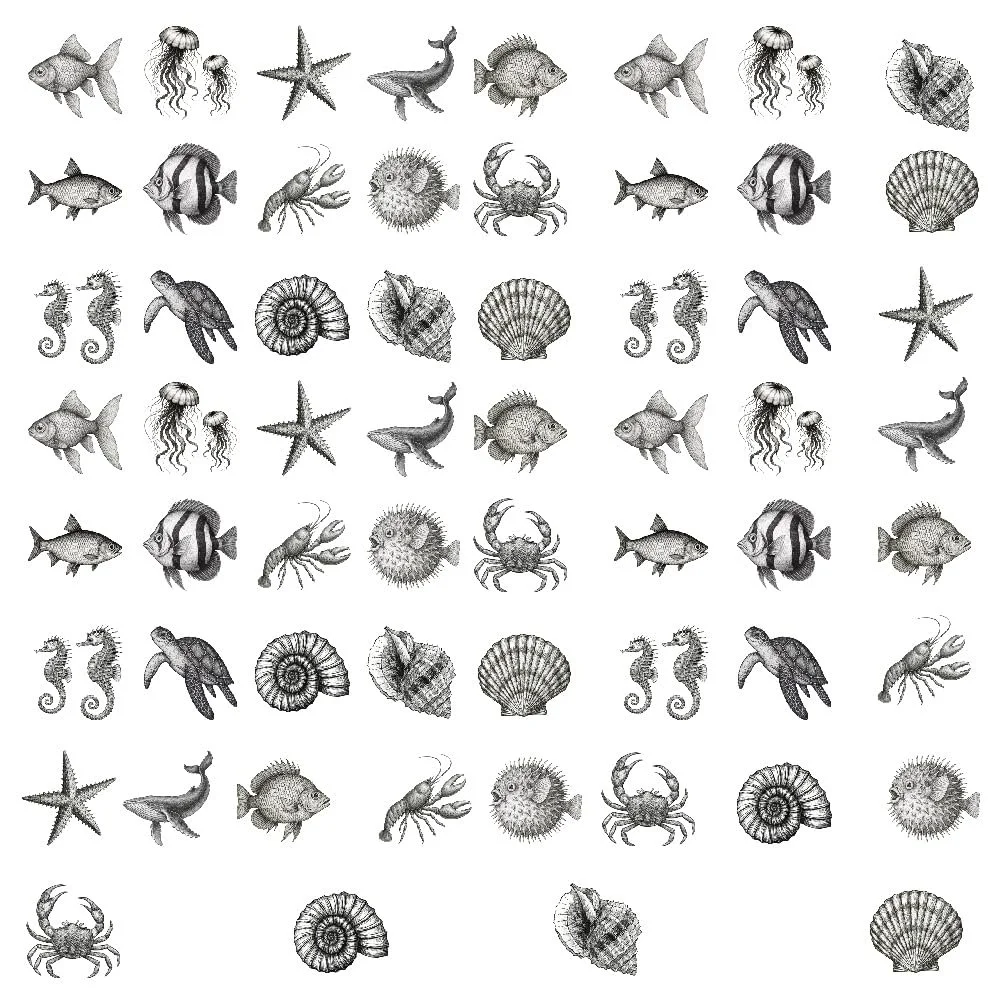 Наклейки на стіну SUPERDANT Sea Life Sketch Style 60 шт. чорні, фото №3