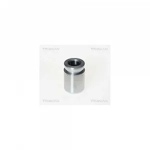 Поршень тормозного суппорта TRISCAN 8170 233304 - Фото 1