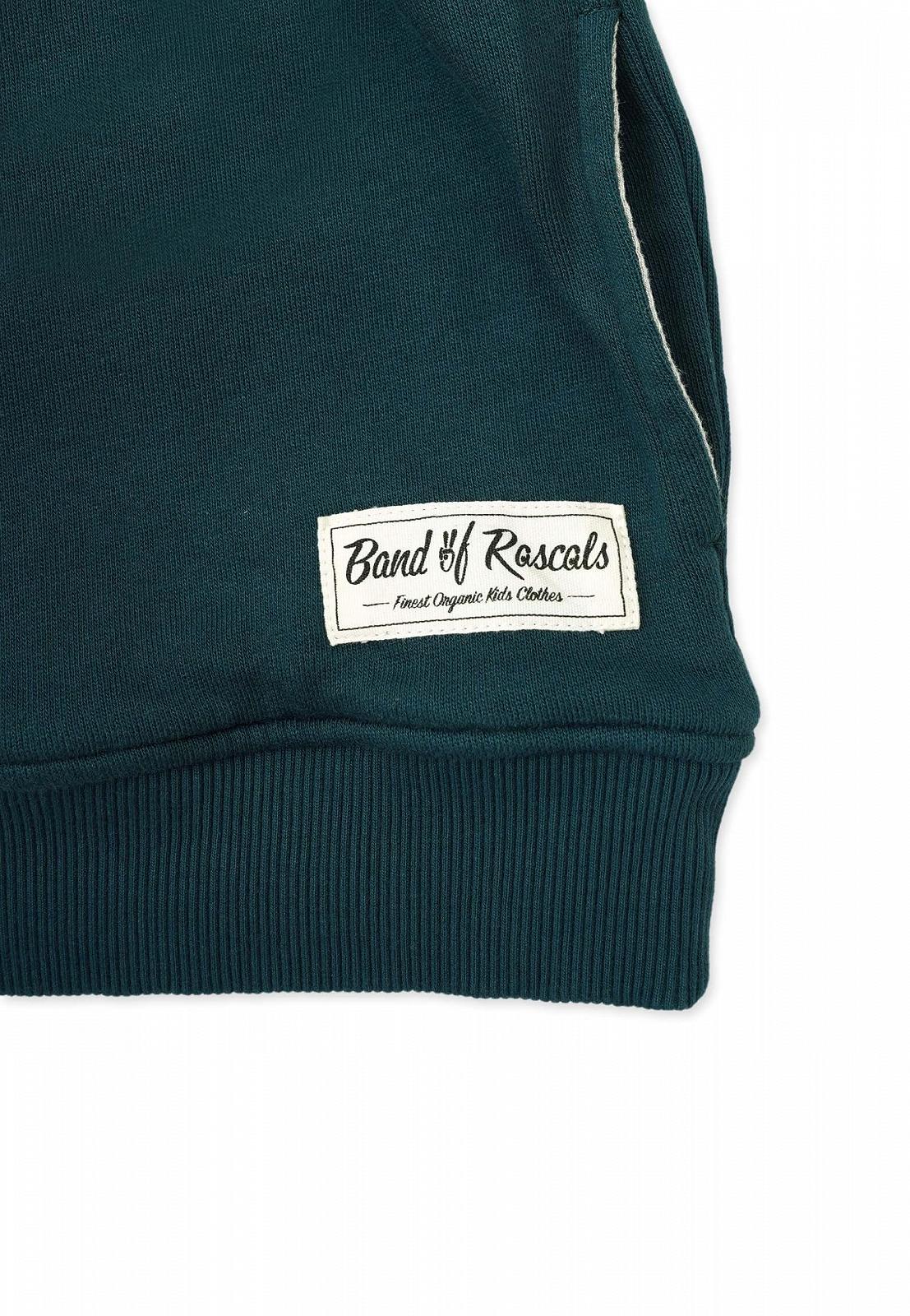 Худи Band of Rascals Детский DJ Organic Cotton, фото №4