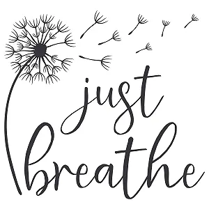 Наклейка на стіну GRAZDesign Dandelion Just Breathe 60 x 57 см Темно-сірий synthetic.ua - Фото 1