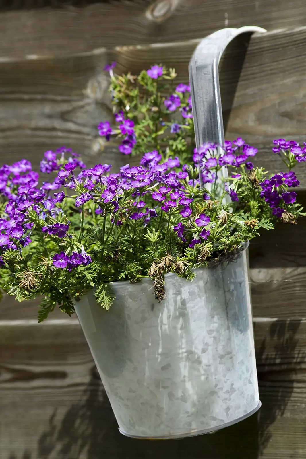 Набір підвісних балконних горщиків Spetebo 6 штук Сріблястий Цинк з гачками, фото №5 Набір підвісних балконних горщиків Spetebo 6 штук Сріблястий Цинк з гачками, фото №5