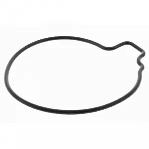 Водяной насос охлаждения двигателя VAICO V24-50021 synthetic.ua - Фото 1